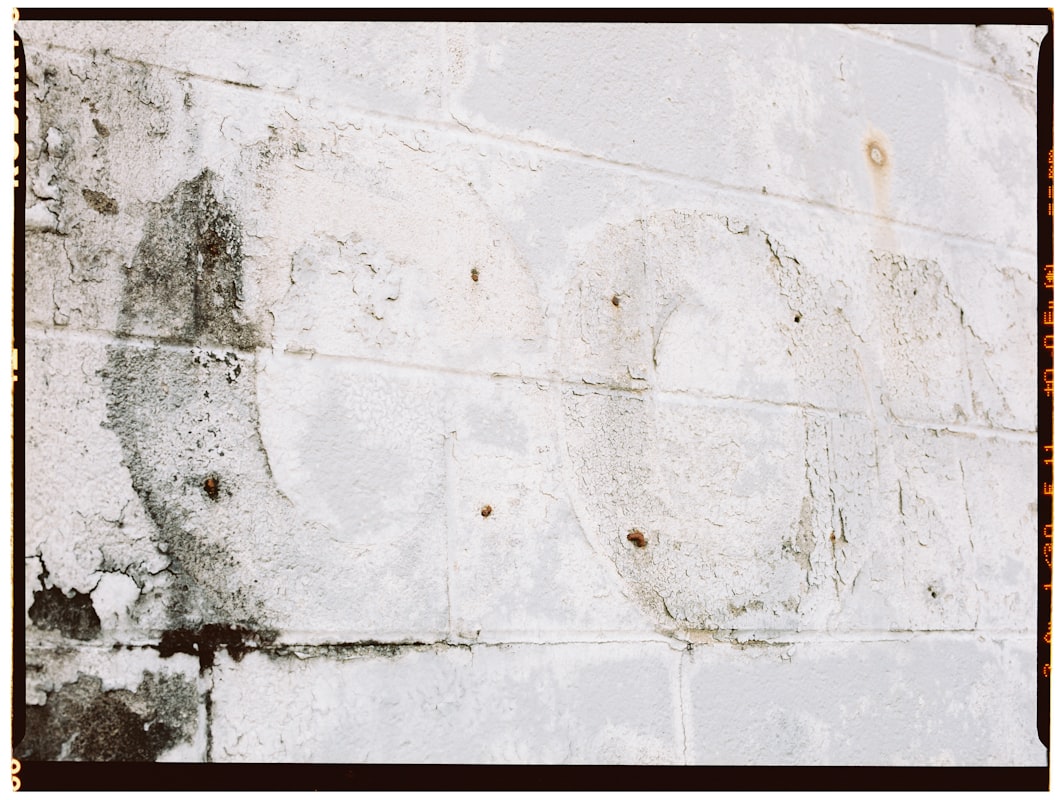 Mold Remediation service in Cicero, IL